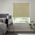 Robben Roman Blind - Zest