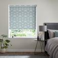 Roche Roller Blind - Duck Egg