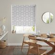 Roche Roller Blind - Silver