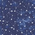 Skinny Dip Roller Blind - Star Print Blue