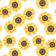 Summer Roman Blind - Sunflower Yellow