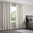 Asmir Curtain - Platinum