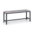 Staten Dining Bench - Concrete