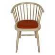 Twyford Dining Chair - Set of 2 - Rust Curved