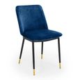 Delaunay Dining Chair - Set of 2 - Blue Fabric