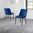 Delaunay Dining Chair - Set of 2 - Blue Fabric