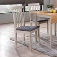 Altona Dining Chair - Set of 2 - Grey