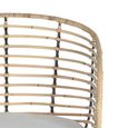 Angie Dining Chair - Rattan and Metal - Set of 2