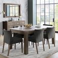 Turin Dining Chairs - Set of 2 - Gun Metal Velvet - Low Back