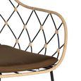 Fairbank Dining Chair - Rattan and Metal - Set of 2