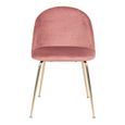 Geneve Dining Chair - Set of 2 - Rose - Velvet Fabric - Gold Legs