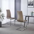 Jamison Beige Faux Leather Dining Chair and Chrome Cantilever Base