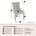 Lion Knocker Back Champagne Velvet Fabric Dining Chair with Chrome Legs