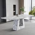 Milan Grey Marble Dining Set - Carmela Grey Leather Dining Chair