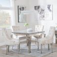 Louis 4 Seater Grey Marble and Chrome Square Dining Set - 4 Lion Knocker Back Champagne Velvet Fabric Dining Chair with Chrome Legs