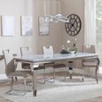 Louis Grey Marble and Chrome Dining Set - Bianco Beige Faux Leather Dining Chair