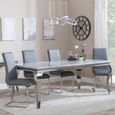 Louis Grey Marble and Chrome Dining Set - Roma Grey Faux Leather Dining Chair