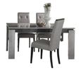 Milo Grey Extending Dining Set with 4 Chair