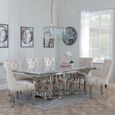 Vortex Grey Marble and Chrome Dining Set - Lion Knocker Back Champagne Velvet Fabric Dining Chair with Chrome Legs