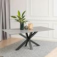 Heaven Round Dining Table - 8 Seater - 200cm - Grey Ceramic - with Star Legs