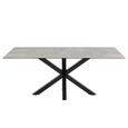 Heaven Round Dining Table - 8 Seater - 200cm - Grey Ceramic - with Star Legs
