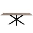 Heaven Round Dining Table - 8 Seater - 200cm - Rusty Brown Ceramic - with Star Legs