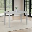 Taku Dining Table - 2 Seater - 114cm - Grey