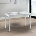 Taku Dining Table - 4 Seater - 114cm - White