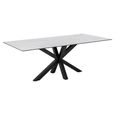Clearance - Heaven Round Dining Table - 8 Seater - 200cm - White Ceramic and Black - with Star Legs - FSS16518