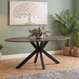 Galaxy Dining Table - Brown Ceramic - 6 Seater - 180cm - Oval