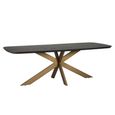 Cambon Dark Oak and Brass 8 Seater Dining Table with Spider Legs