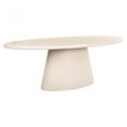 Clayton Lime Plaster 10 Seater Oval Pedestal Dining Table
