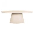 Clayton Lime Plaster 10 Seater Oval Pedestal Dining Table