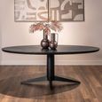 Rayford Dining Table - 230cm - 10 Seater - Oval - Black - Oak and Metal