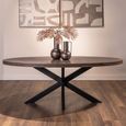 Watson Dining Table - 235cm - 10 Seater - Oval - Spider Leg - Dark Brown and Black - Oak and Metal