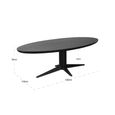 Rayford Dining Table - 230cm - 10 Seater - Oval - Black - Oak and Metal