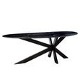 Trocadero Black Marble 8 Seater Dining Table with Spider Legs