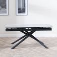 Apollo 6-8 Seater Grey Ceramic Extending Dining Table with Black Base - 160cm-220cm