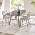 Callisto Dining Table - 8 Seater - 200cm - Smoked Bubble Glass