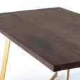 Caltan Dining Table - 8 Seater - 200cm - Walnut Mango Wood and Gold - Geometric