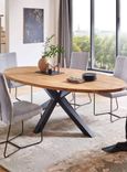 Camas Oval Dining Table with Spider Legs - Oak - Variation Available