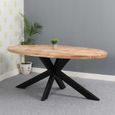 Dispur Solid Mango Wood 6 Seater Oval Dining Table