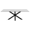 Heaven Round Dining Table - 8 Seater - 200cm - White Ceramic and Black - with Star Legs