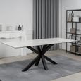Heaven Round Dining Table - 8 Seater - 200cm - White Ceramic and Black - with Star Legs