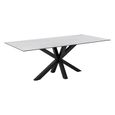 Heaven Round Dining Table - 8 Seater - 200cm - White Ceramic and Black - with Star Legs