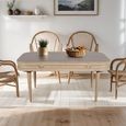 Vance Curved Natural Rattan and Mango Wood 6 Seater Dining Table