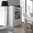 Toronto Display Cabinet - 2 Door - Low - Glazed - White Gloss
