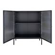 Adelaide Cabinet - 2 Door - Small - Black Metal