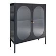Adelaide Cabinet - 2 Door - Small - Black Metal