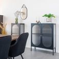 Adelaide Cabinet - 2 Door - Small - Black Metal